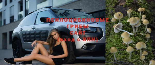 а пвп мука Елизово