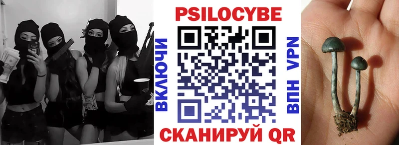 Галлюциногенные грибы прущие грибы  Свирск 